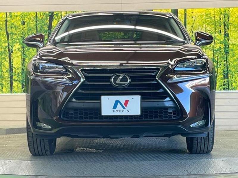 NX