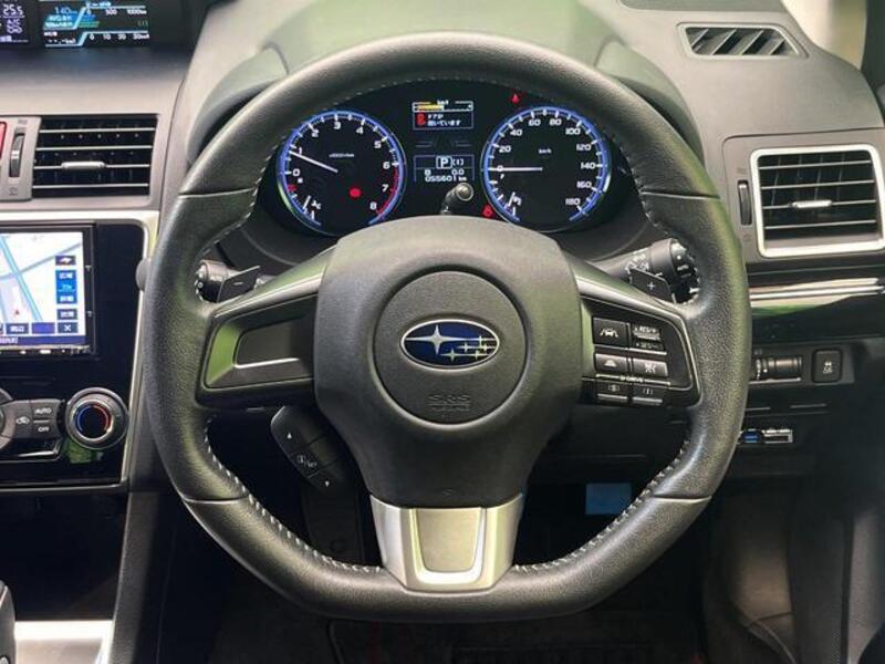 LEVORG