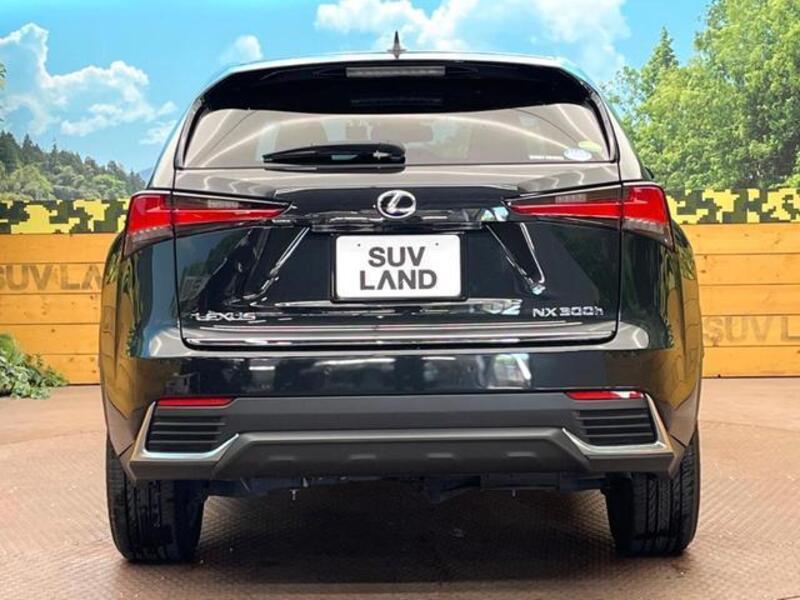 NX
