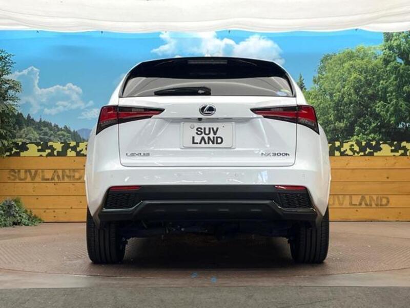 NX