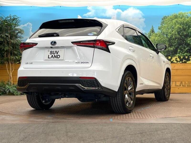 NX