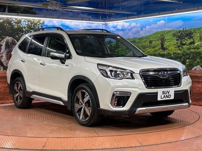 FORESTER