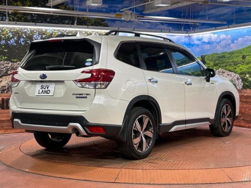 FORESTER