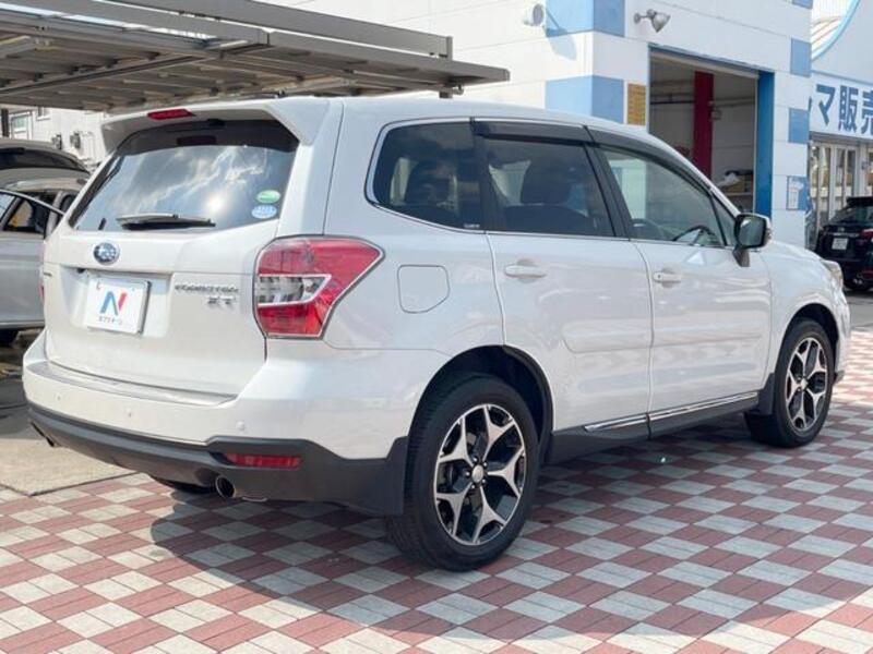 FORESTER