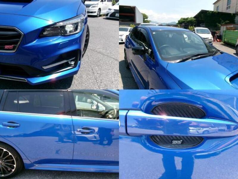 LEVORG