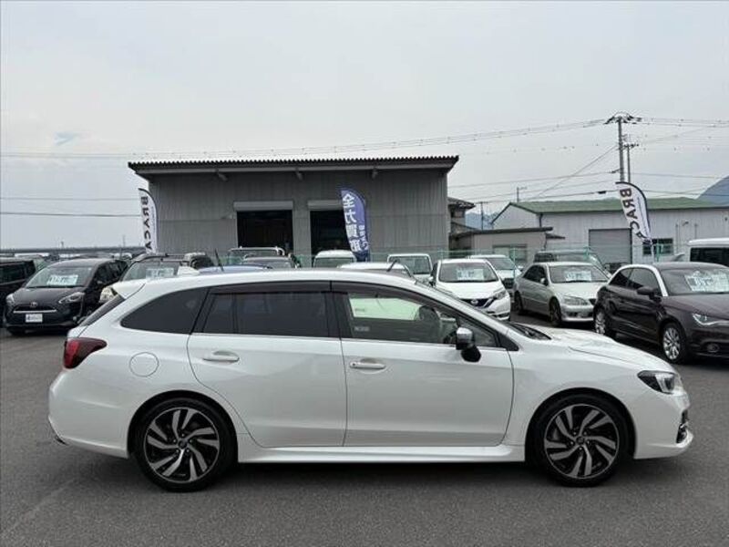 LEVORG