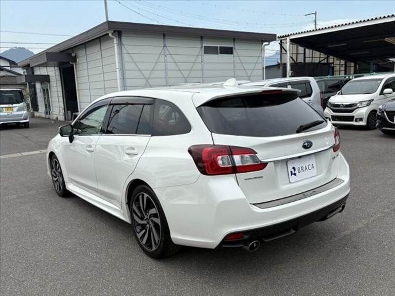 LEVORG