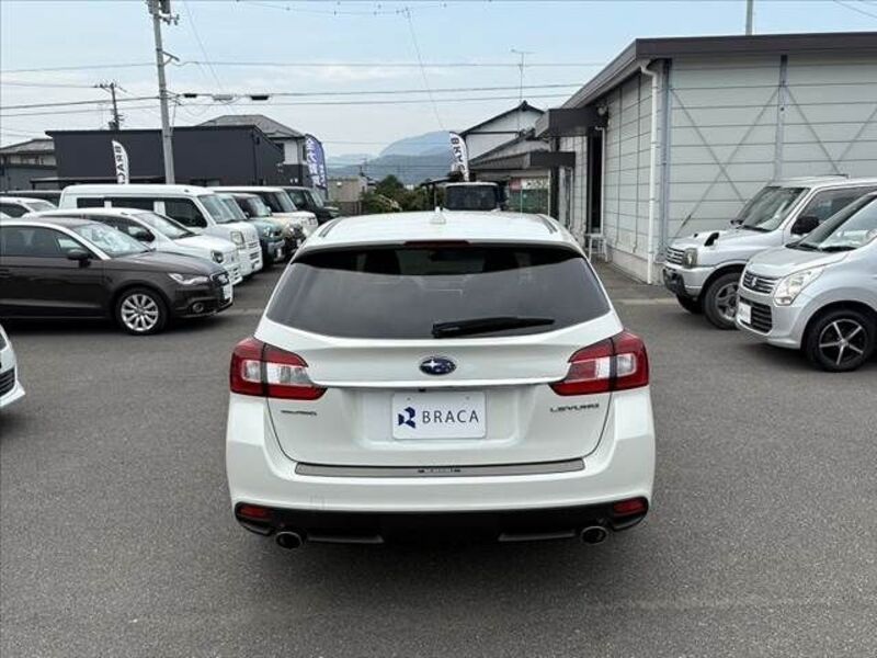 LEVORG