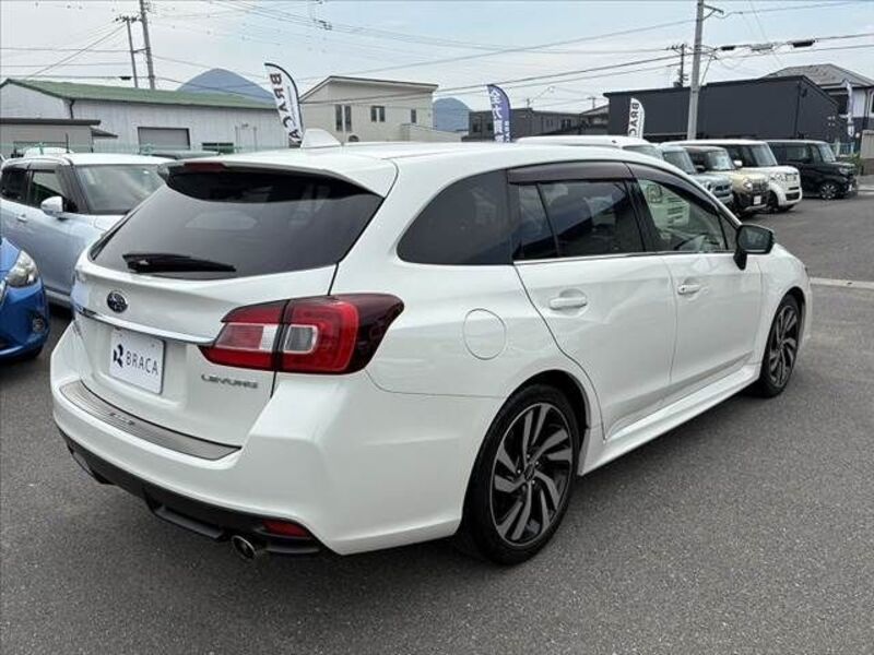 LEVORG