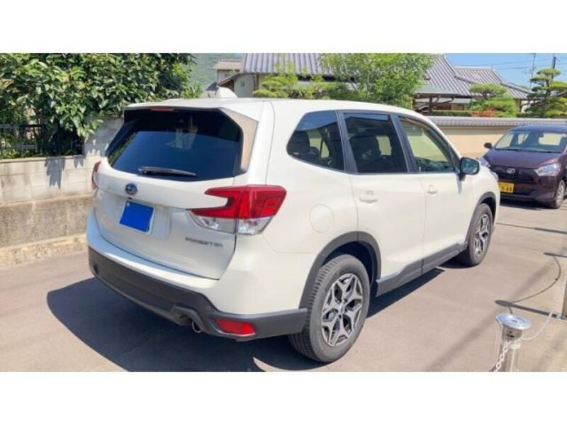 FORESTER