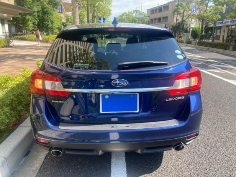 LEVORG