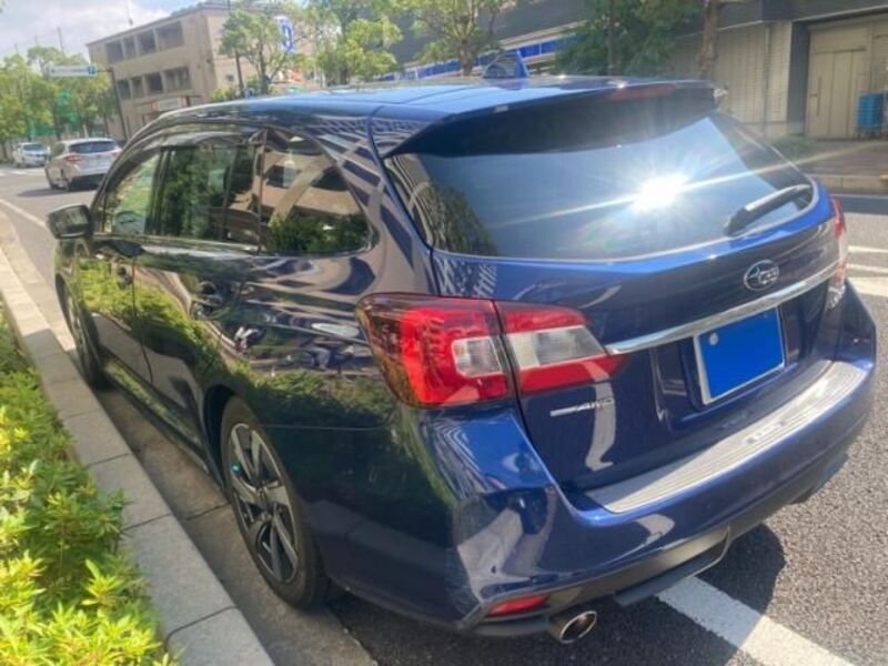 LEVORG