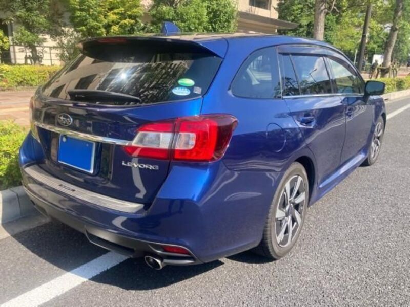 LEVORG