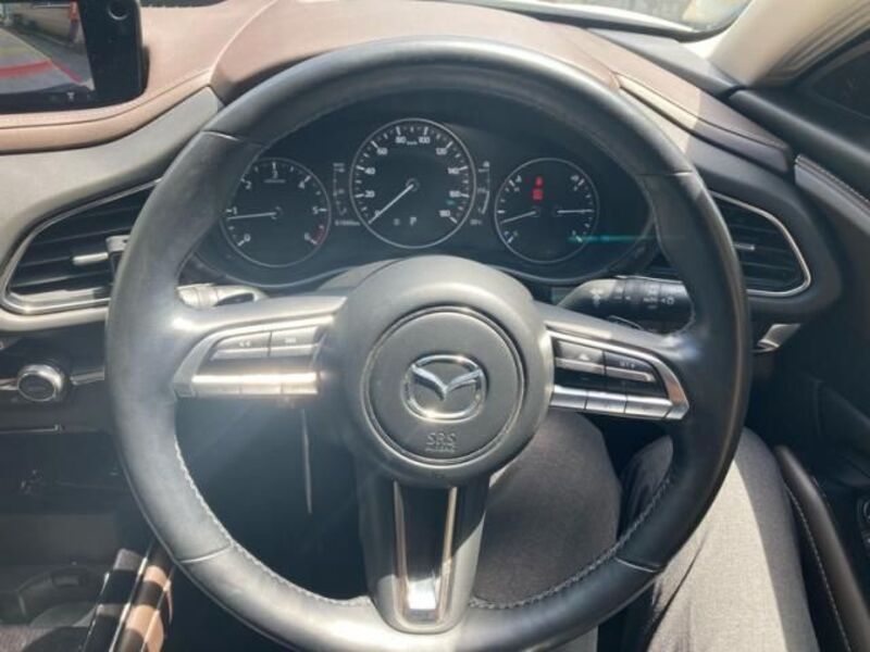CX-30