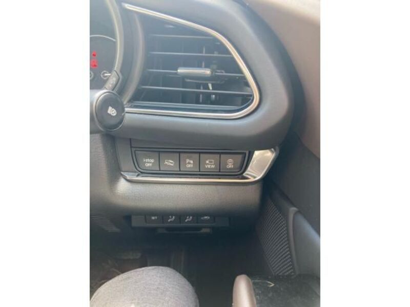 CX-30