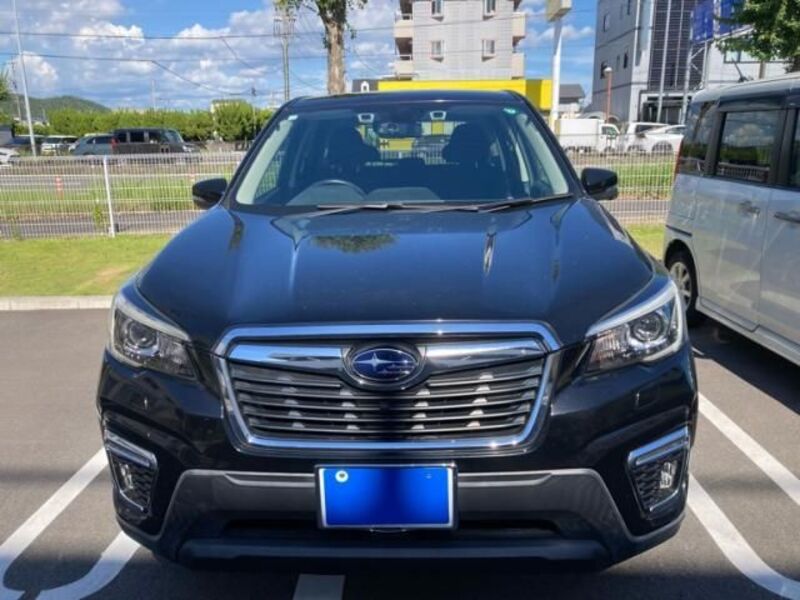 FORESTER