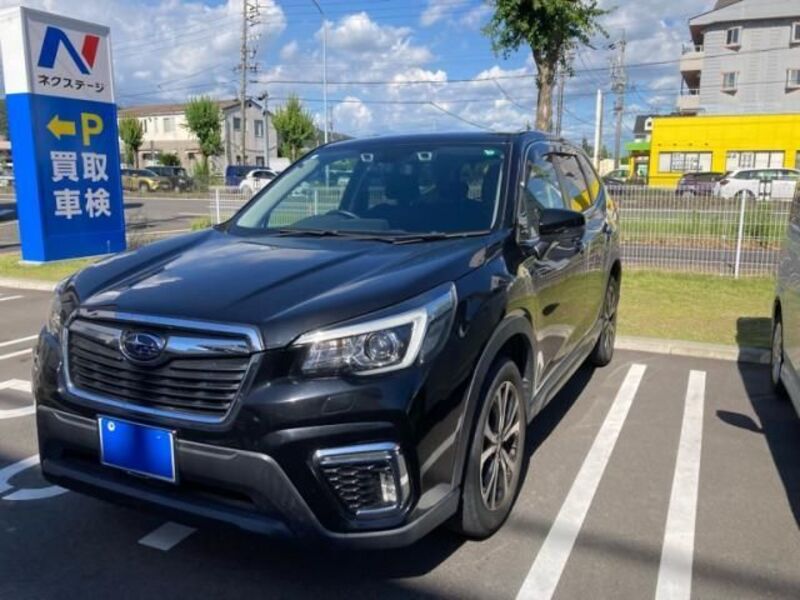 FORESTER