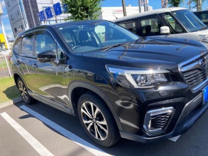 FORESTER