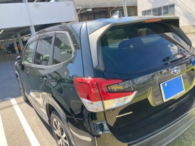 FORESTER