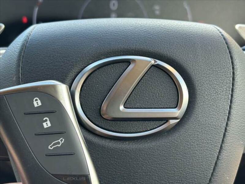 NX