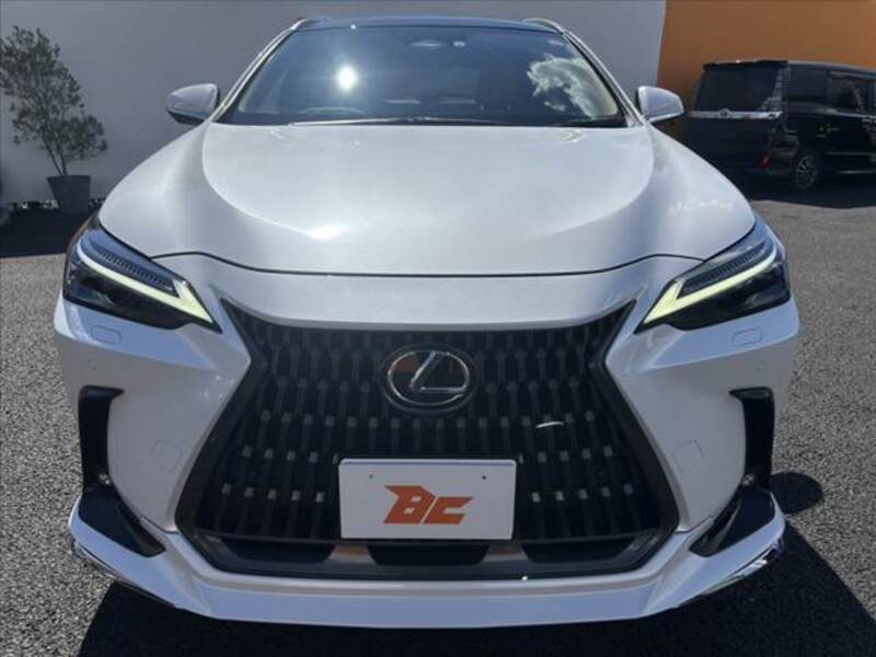 NX