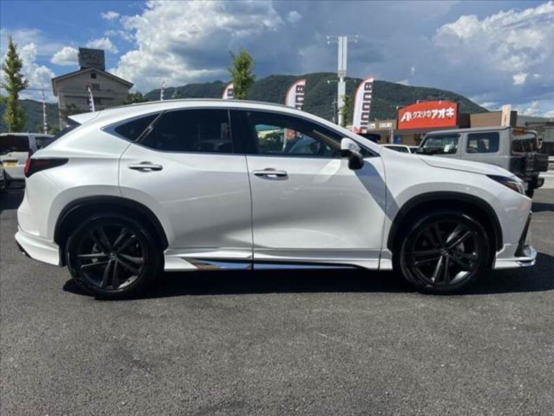NX