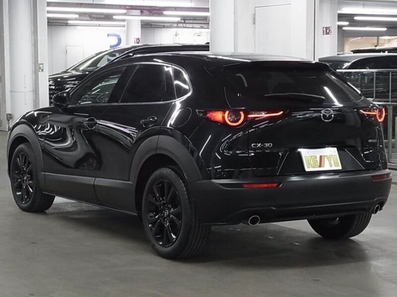 CX-30
