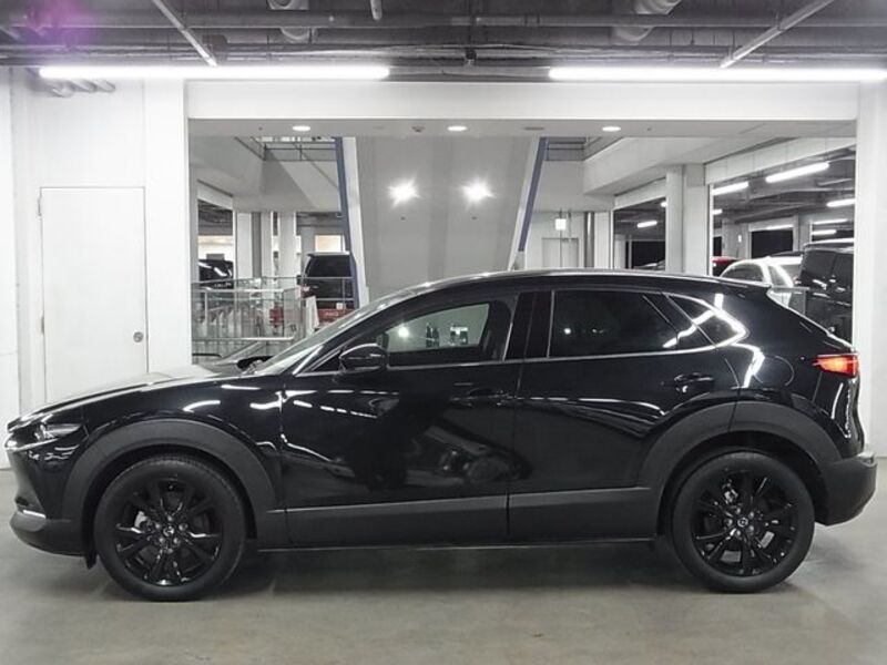 CX-30