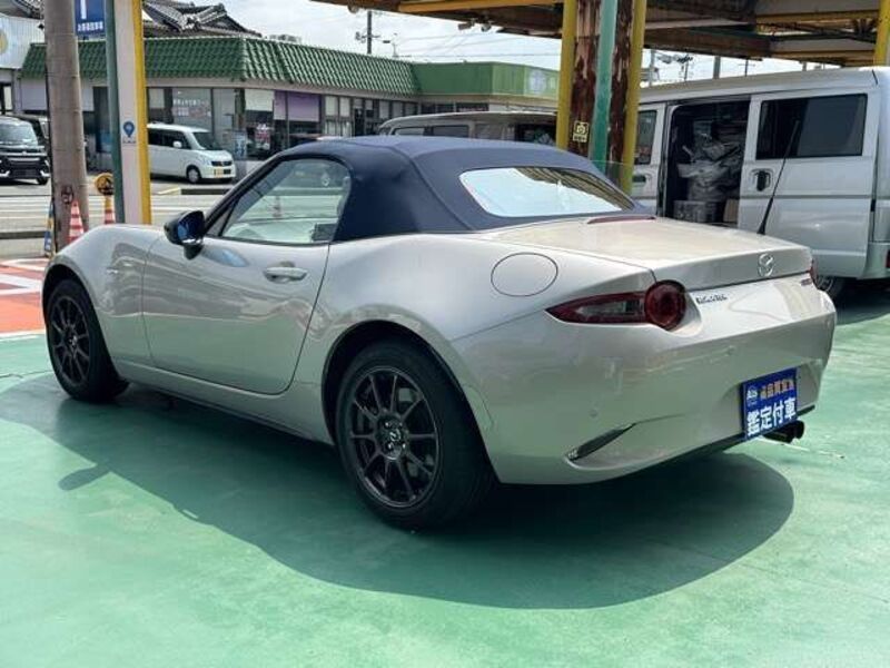 ROADSTER