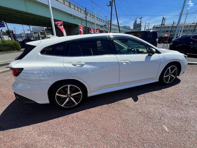 LEVORG