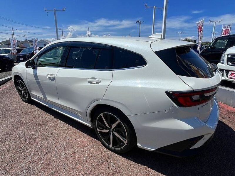 LEVORG