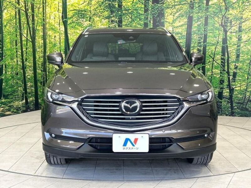 CX-8