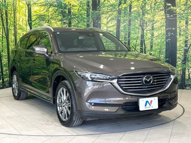 CX-8