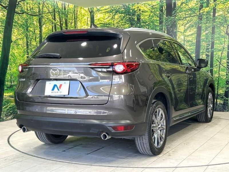 CX-8