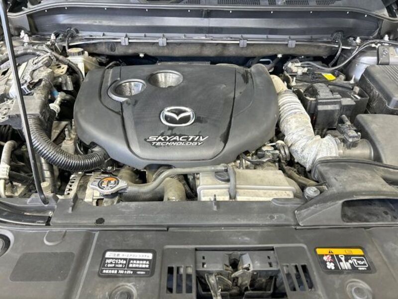 CX-8
