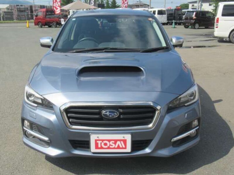 LEVORG