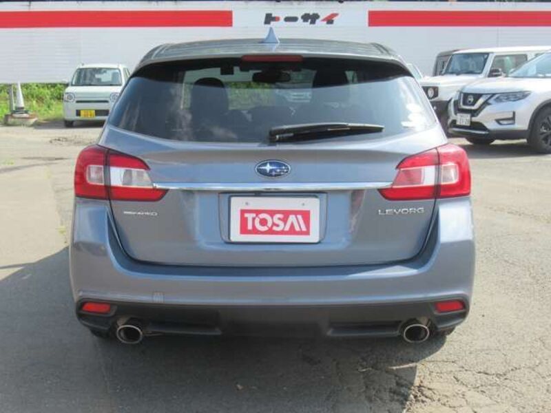 LEVORG