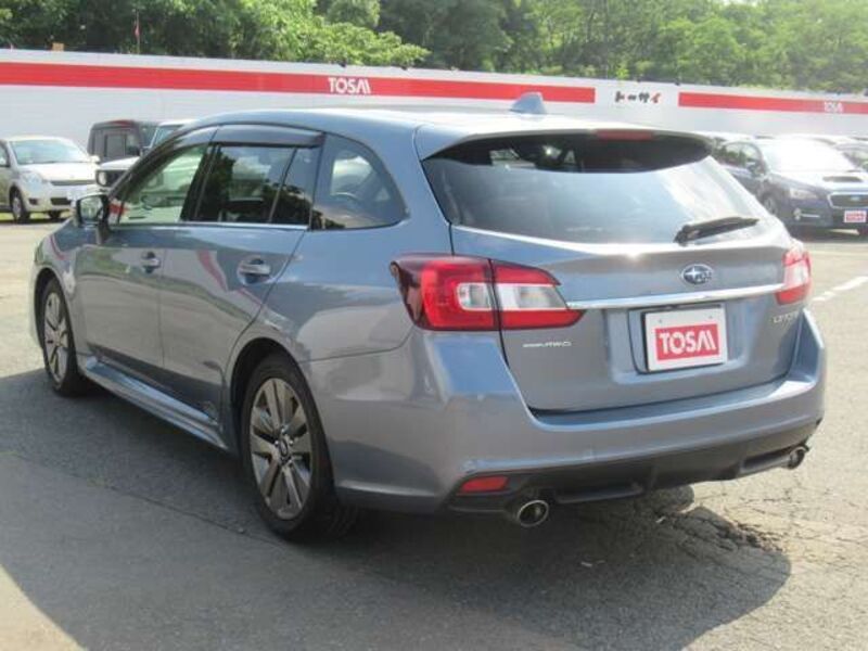 LEVORG