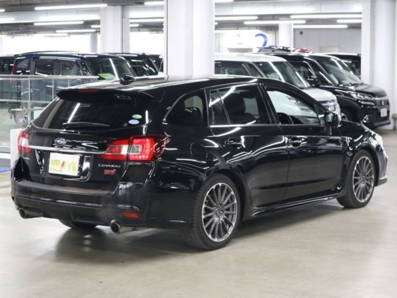 LEVORG