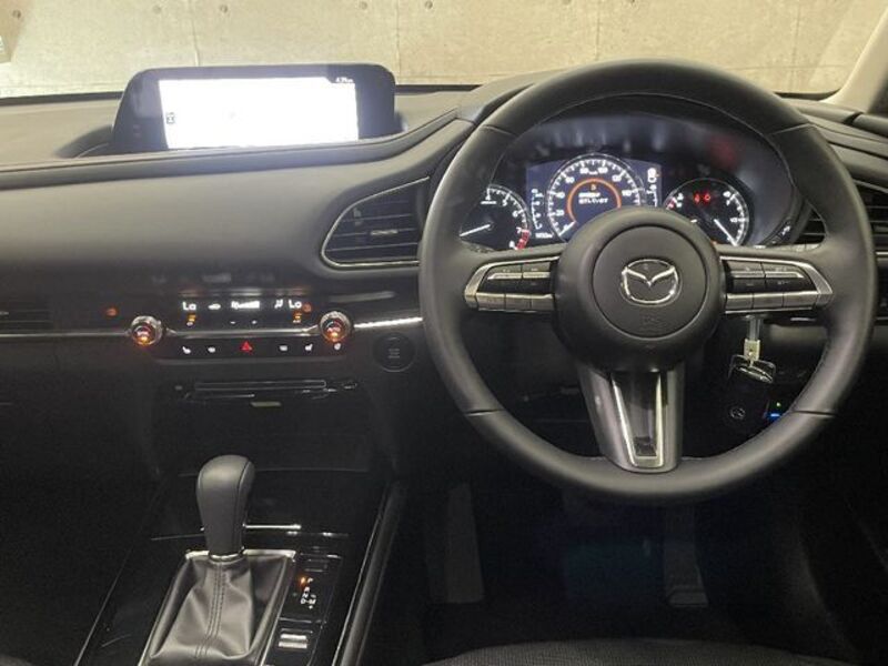 CX-30