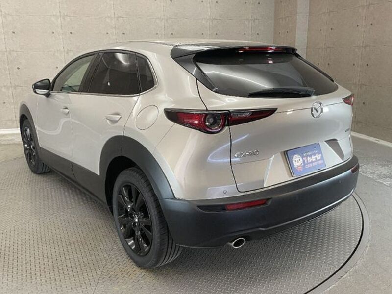 CX-30