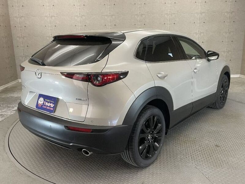 CX-30