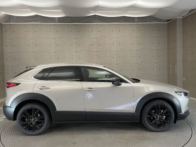 CX-30