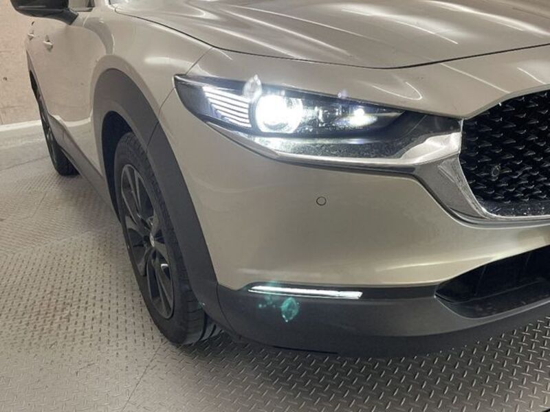 CX-30