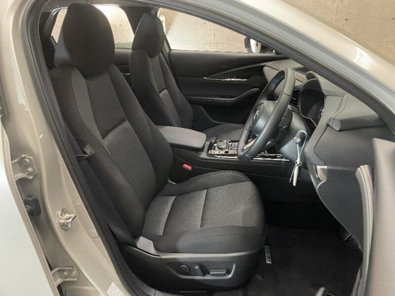 CX-30