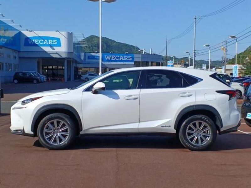 NX