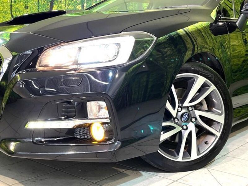LEVORG