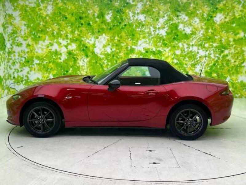 ROADSTER
