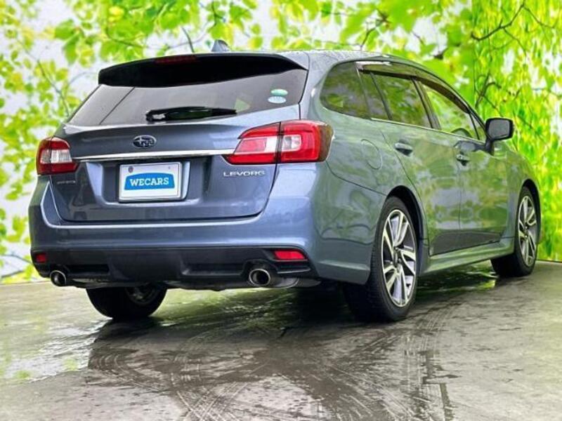 LEVORG