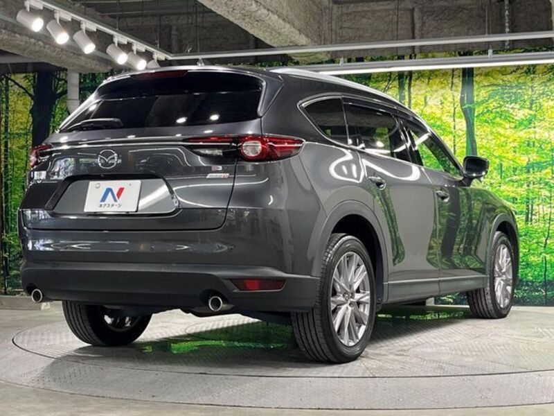 CX-8